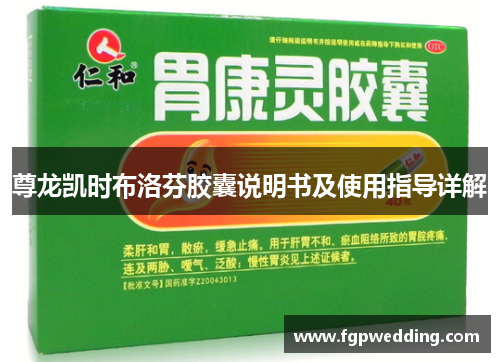 尊龙凯时布洛芬胶囊说明书及使用指导详解