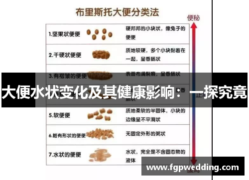 大便水状变化及其健康影响：一探究竟