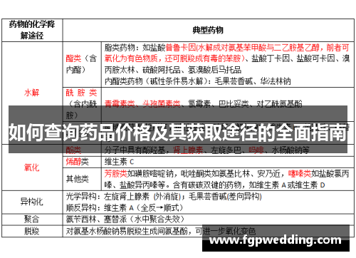 如何查询药品价格及其获取途径的全面指南
