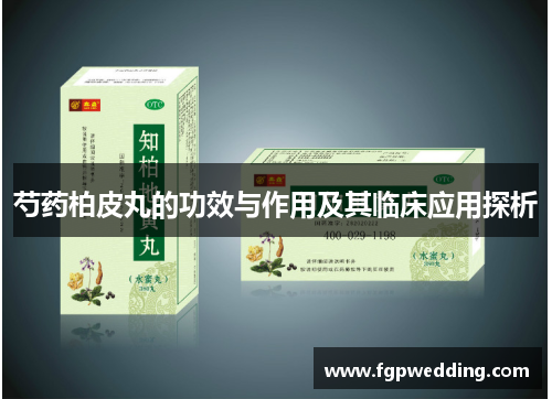 芍药柏皮丸的功效与作用及其临床应用探析