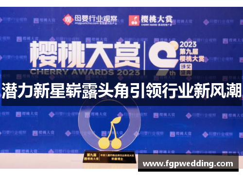 潜力新星崭露头角引领行业新风潮
