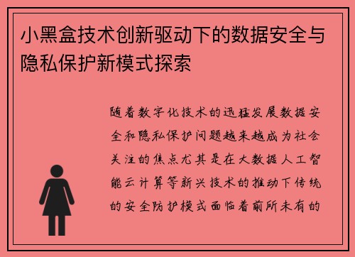 小黑盒技术创新驱动下的数据安全与隐私保护新模式探索